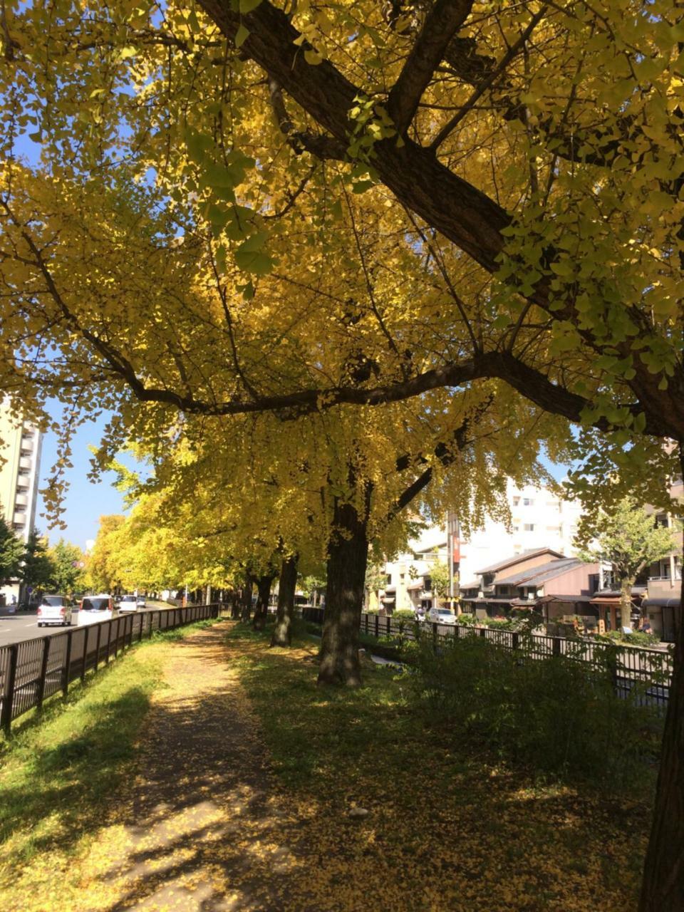Appartamento Ichijyo Ivy Kyōto Esterno foto
